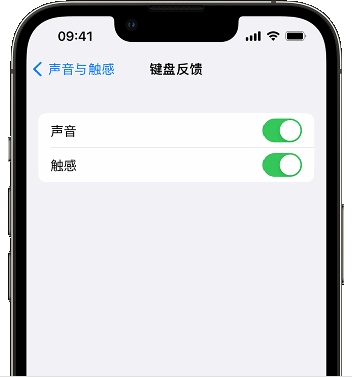 白云苹果14维修店分享如何在 iPhone 14 机型中使用触感键盘 